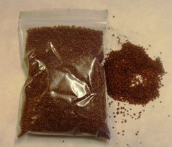 Arena de Silex Decorativa 2/3 mm Bote de 5 Kg