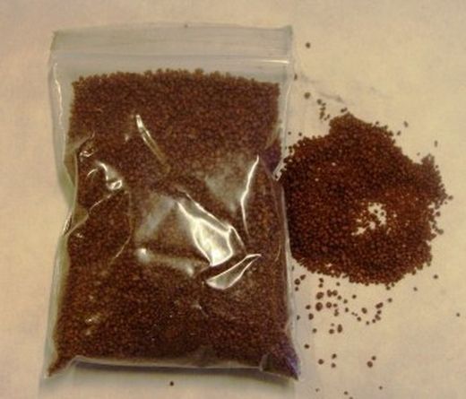 Arena de Silex Decorativa 2/3 mm Bote de 5 Kg