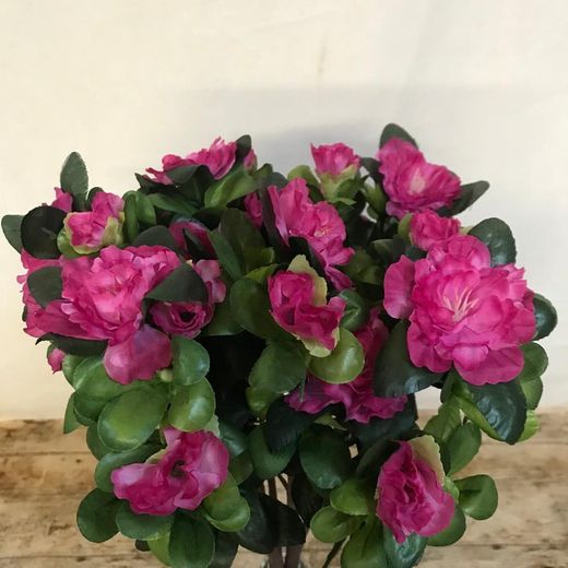 Azalea Artificial