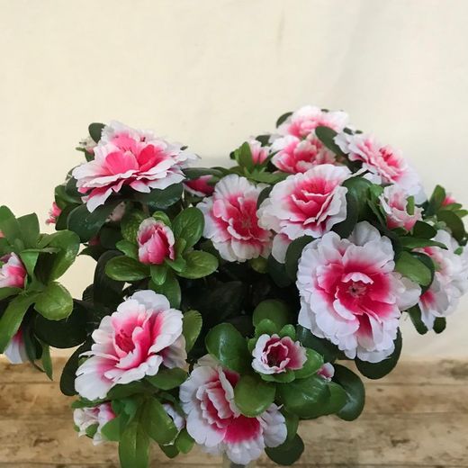 Azalea Artificial