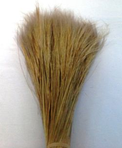 Barba Natural Seca