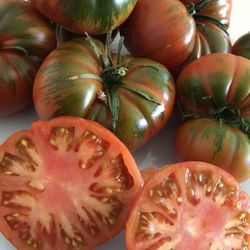 Abono Bioflower Tomates 800 gr Eco