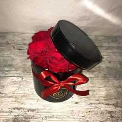 Black Box Red Roses