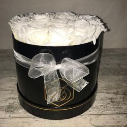 Black Box White Roses