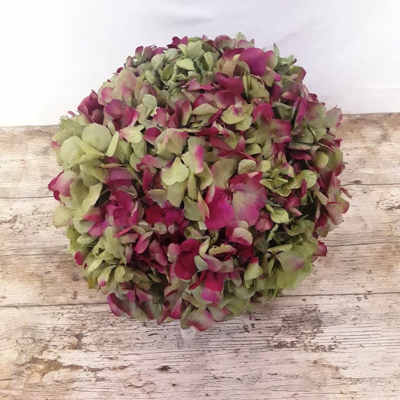 Bolas de Hortensia preservada — Floresfrescasonline