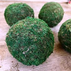 Bitlles de Moll Preservat Pack de 4