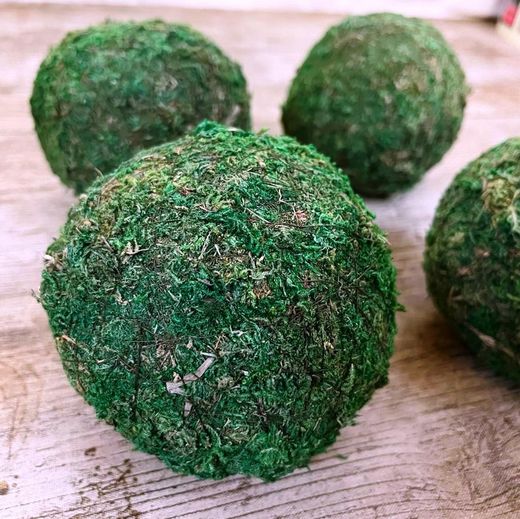 Bolos de Musgo Preservado Pack de 4
