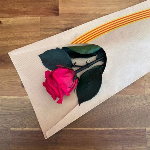 BOSSA KRAFT MARRÓ + BANDERA 6 X 18 X H60 CM (50U)