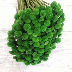 Botao Seco