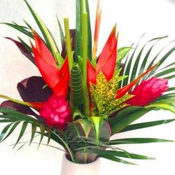 Bouquet de Heliconias