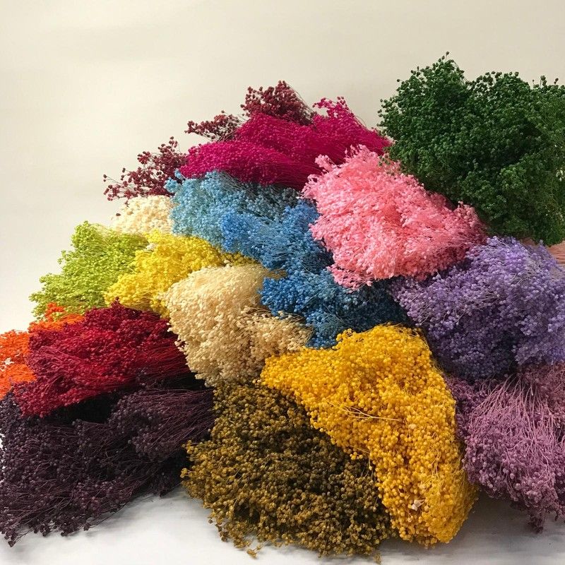 Broms Seco Broms Amarillo