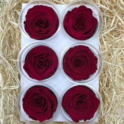 Caps de Roses Preservades 6 uts.