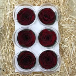 Caps de Roses Preservades 6 uts.