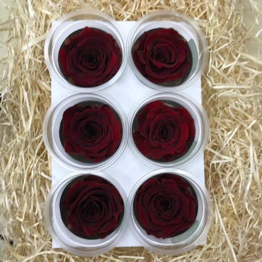 Caps de Roses Preservades 6 uts.