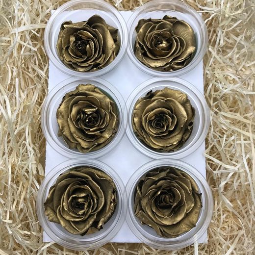 Caps de Roses Preservades 6 uts.