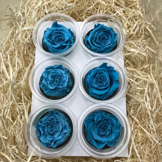 Caps de Roses Preservades 6 uts.