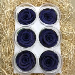 Caps de Roses Preservades 6 uts.