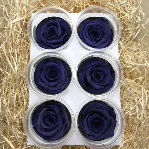 Caps de Roses Preservades 6 uts.