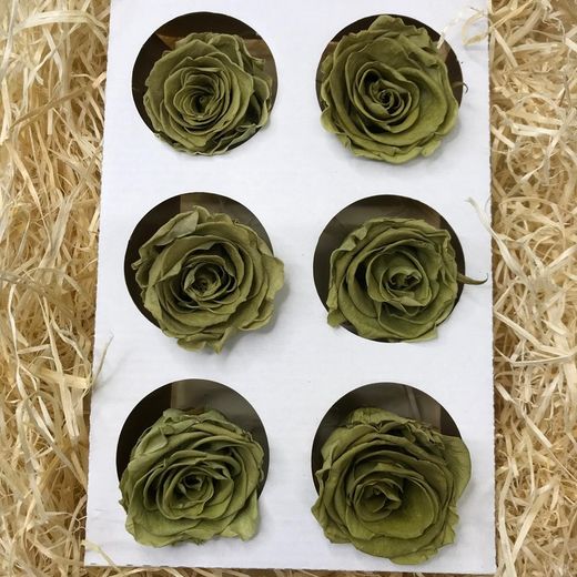 Caps de Roses Preservades 6 uts.