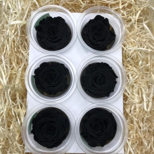 Caps de Roses Preservades 6 uts.