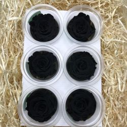 Caps de Roses Preservades 6 uts.