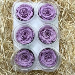 Caps de Roses Preservades 6 uts.