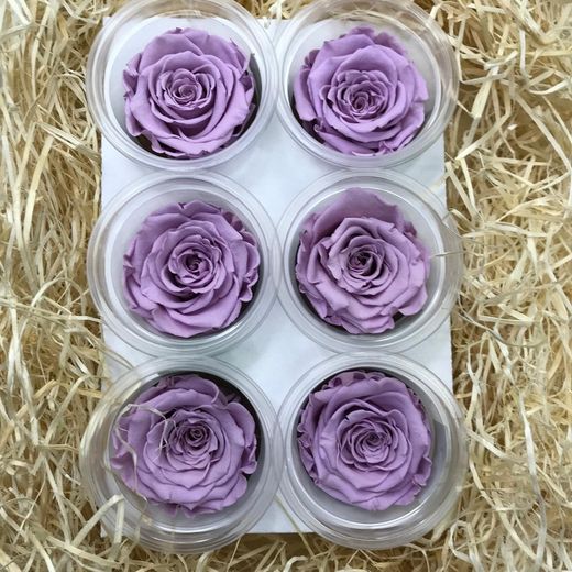 Caps de Roses Preservades 6 uts.