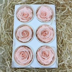 Caps de Roses Preservades 6 uts.