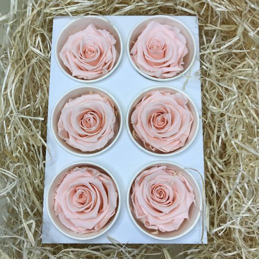 Caps de Roses Preservades 6 uts.