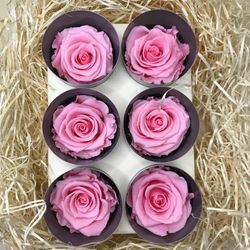 Caps de Roses Preservades 6 uts.