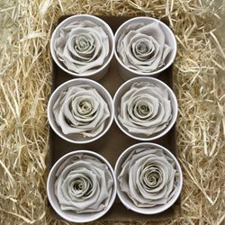 Caps de Roses Preservades 6 uts.