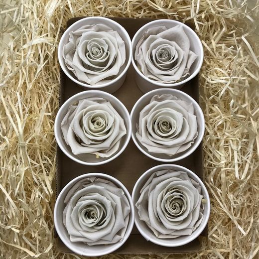 Caps de Roses Preservades 6 uts.