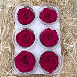 Caps de Roses Preservades 6 uts.