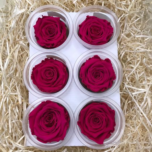 Caps de Roses Preservades 6 uts.