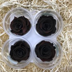 Caps de Roses Preservades 6 uts.