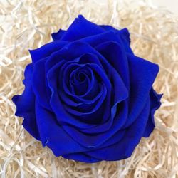 Caps de Roses Preservades XL