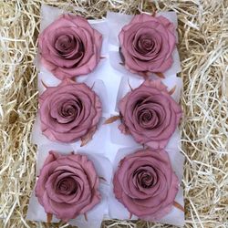Cabezas de Rosas Romantic Preservadas 6 unidades
