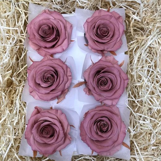 Cabezas de Rosas Romantic Preservadas 6 unidades