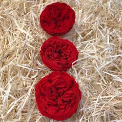 Cabezas Rosas de Jardín Preservadas Grandes 3 uds.