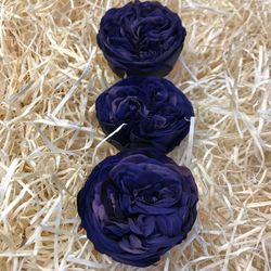 Cabezas Rosas de Jardín Preservadas Grandes 3 uds.