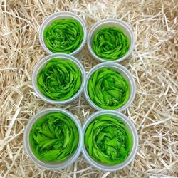 Caps Roses de Jardí Preservades Mitjanes 6 uds.