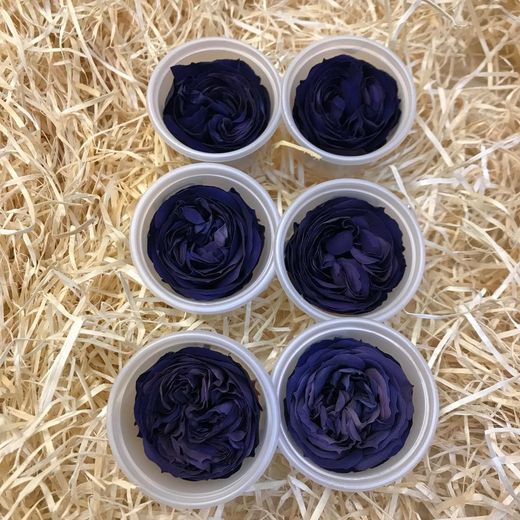 Caps Roses de Jardí Preservades Mitjanes 6 uds.