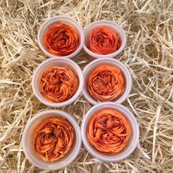 Caps Roses de Jardí Preservades Mitjanes 6 uds.