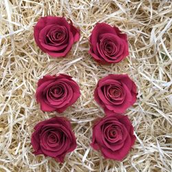 Cabezas Rosas Mini Preservadas 6 uds.