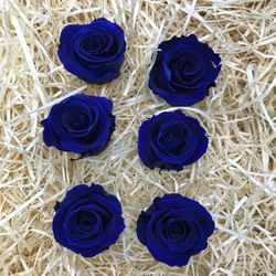Cabezas Rosas Mini Preservadas 6 uds.