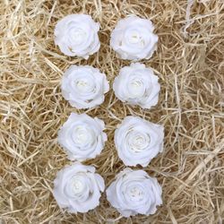 Cabezas Rosas Mini Preservadas 6 uds.