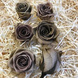 Cabezas Rosas Mini Preservadas 6 uds.