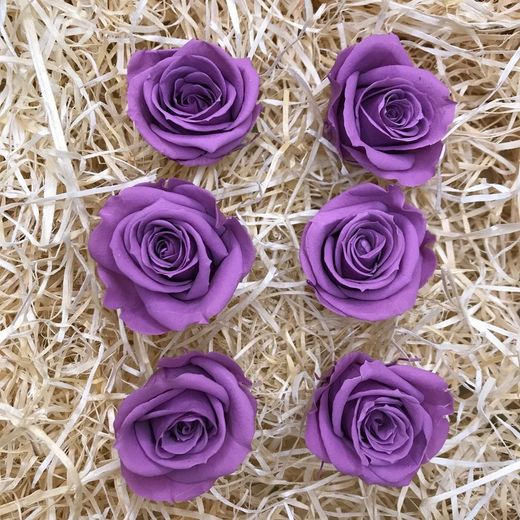 Cabezas Rosas Mini Preservadas 6 uds.