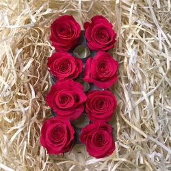 Cabezas Rosas Princesa Preservadas Caja 8 uds.