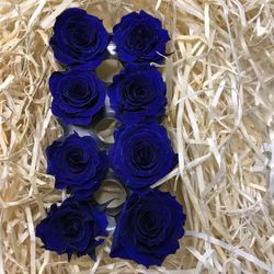 Cabezas Rosas Princesa Preservadas Caja 8 uds.